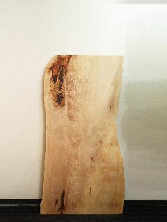 �ꖇ�V�@�i�ȁE�g�`�j�@T81445U�@���ؗ�