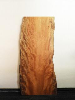 �ꖇ�V�@�i�^�u�j�@T61359U