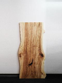 �ꖇ�V�@�i�ȁE�g�`�j�@T21490U