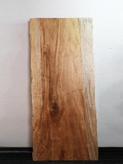 �ꖇ�V�@�i�ȁE�g�`�j�@T41469