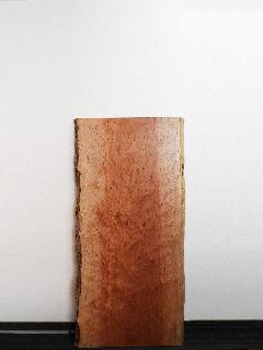 �ꖇ�V�@�i�{�Z�j�@�s91475K