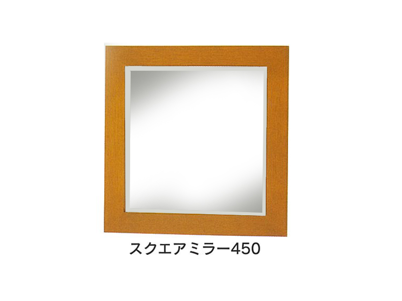 ���������ߥ顼��450