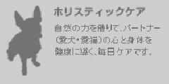 Â肹̂