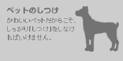 ܊