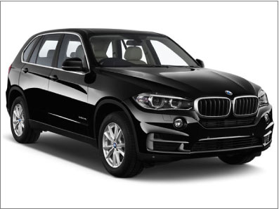 BMW X5iF15)