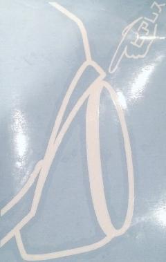sAX@I[o[tF_[@XebJ[