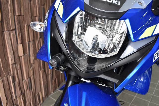 GSX250R 