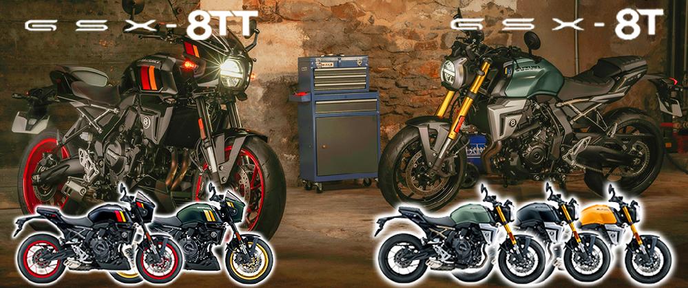 GSX800TT_GSX 800T