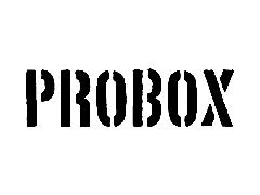 PROBOX ステッカー　カラー　黒・白