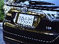 REAR LICENSE ACCENT