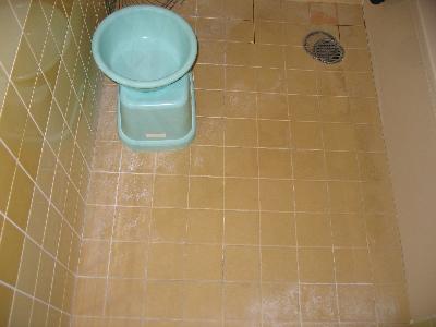 トイレの床タイル　こびり付いたアカやカビで汚れがとれない。