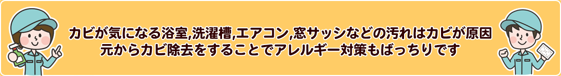 梅雨時期のクリーニング