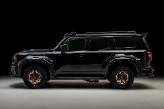 DESERT LINE BLACK BISON EDITION@TChXJ[gI[o[tF_[