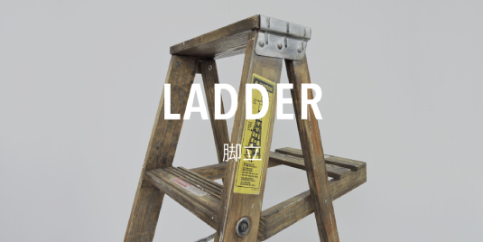 BABCOCK LADDER