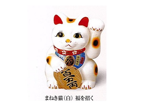 L@܂˂L@@@8.0@yE苓E苓z