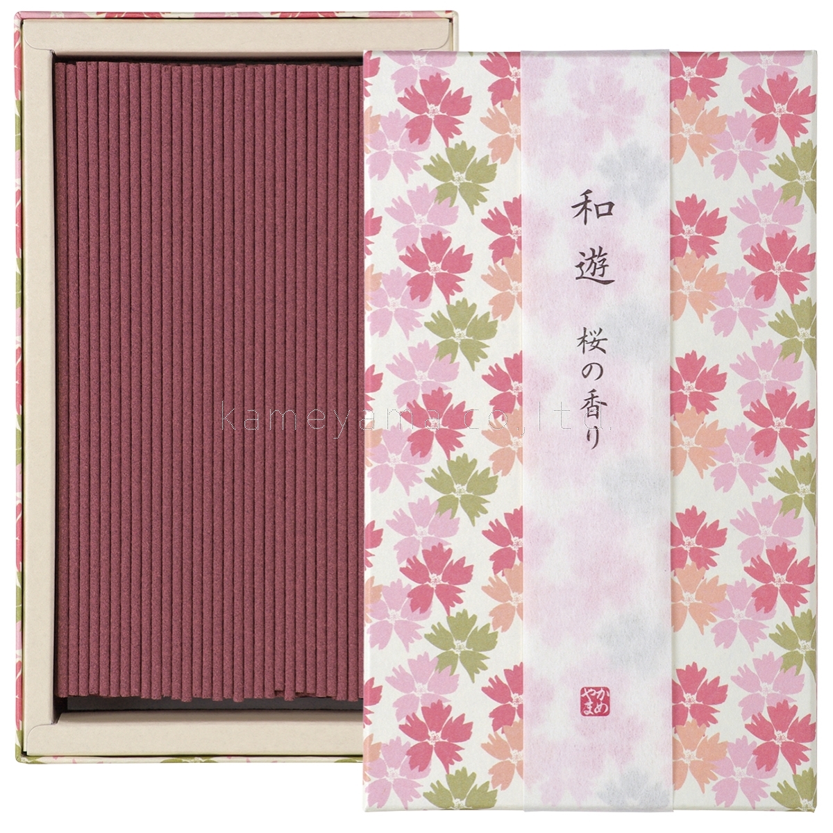 aV@̍蕽@yJ}z