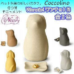 Coccolino RbR[m @`a@(^)@zCg