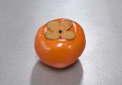 ̖͌^@`