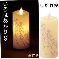 ͂ S@