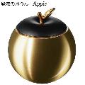 ˡΤ Appleɡޥåȥ֥å