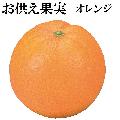 お供え果実 オレンジ