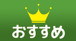 ߏi