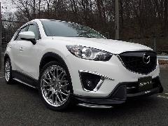 PX^C@CX-5@Rv[gJ[̔@̔@K[WXp[N