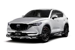 CX-5@c`lc@_h@Rv[gJ[̔@̔@I[NVs@K[WXp[N