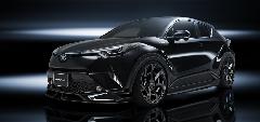 C-HR@WALD X|[cC@Rv[gJ[̔@̔@I[NVs@K[WXp[N
