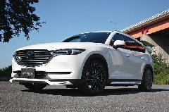 CX-5@K[Wx[@TYPE2@Rv[gJ[̔@̔@I[NVs@K[WXp[N