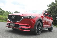 CX-5@K[Wx[@TYPE1@Rv[gJ[̔@̔@I[NVs@K[WXp[N