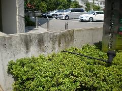 東京都　練馬区　病院　外壁清掃