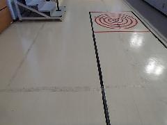 東京都日野市 体育館床面 シール糊 除去清掃