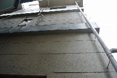 東京都世田谷区オフィスビル外壁のツタ取り作業　作業後