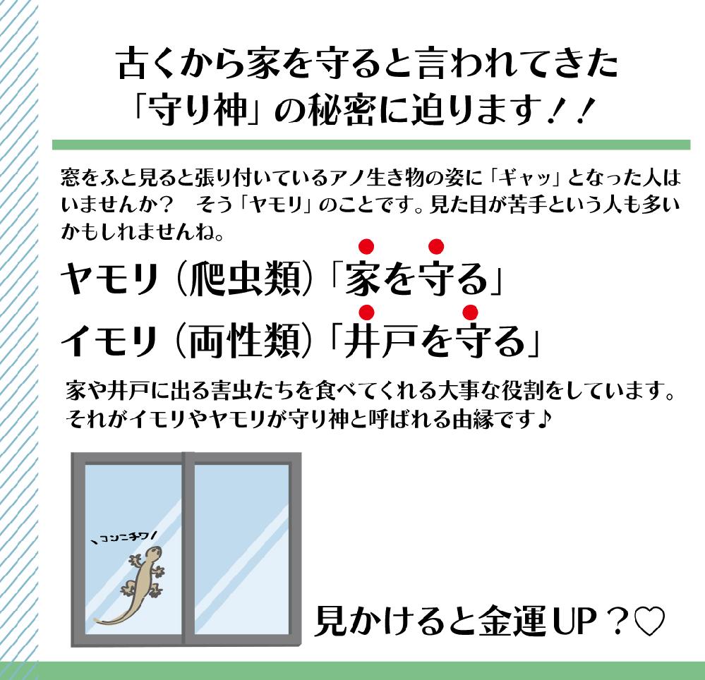 ブログ エルデザインの窓 岡山県倉敷のエルデザイン 男前の大工います ブログ エルデザインの窓 岡山県倉敷のエルデザイン 男前の大工います