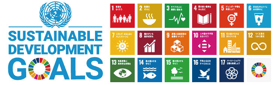 近年環境問題で目にするようになった「SDGs（持続可能な開発目標）」と名付けられたこの指針は、17の目標と 169の目標達成基準を掲げ、現代の国際社会が抱える問題の解消や、人と地球環境双方にやさしい社会の実現を 目指しています。SDGsが掲げる17つの目標のうちの６つ目の目標が「安全な水とトイレを世界中に」という 水問題に関するものです。ポイントは、すべての方が安全な水と衛生的な環境を使えるようにすること、限り ある水資源を将来にわたって使うための取り組みを進めることにあります。