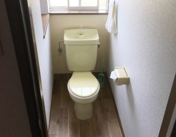 ���@�N�b�V�����t���A�@�ǎ��@�N���X