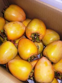 `p ` 10kg 30`40