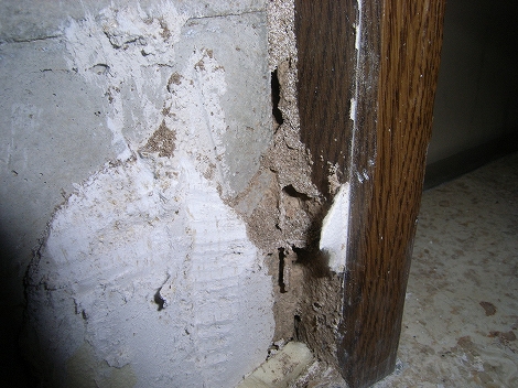 コンクリート造りの玄関枠シロアリ被害写真 白蟻 駆除 予防 調査 大阪 ヤマトシロアリ研究所 スマートフォン