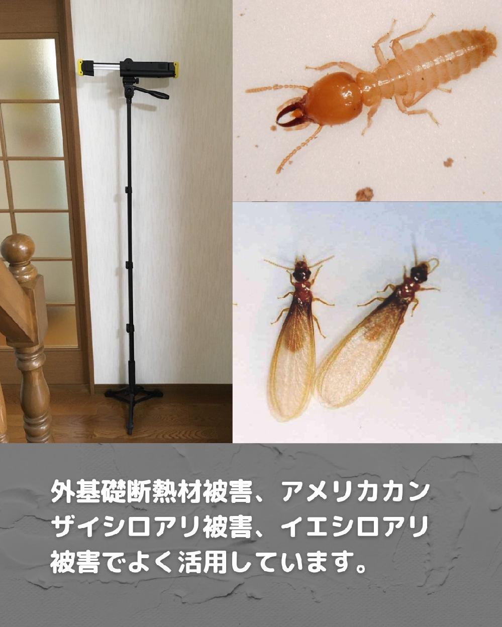 jŃVAQ鉻