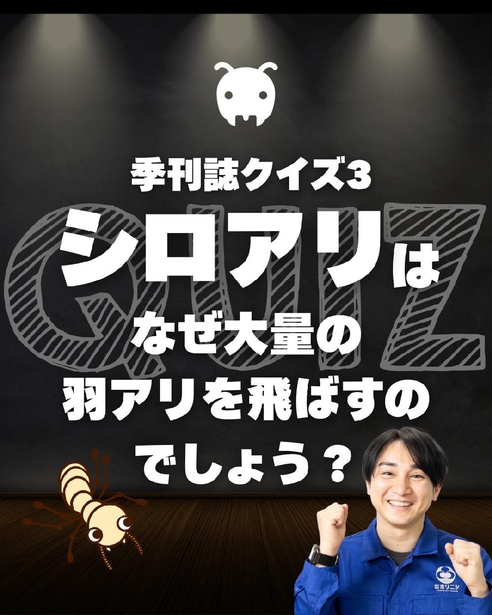 VA͂Ȃʂ̉HA΂̂ł傤H