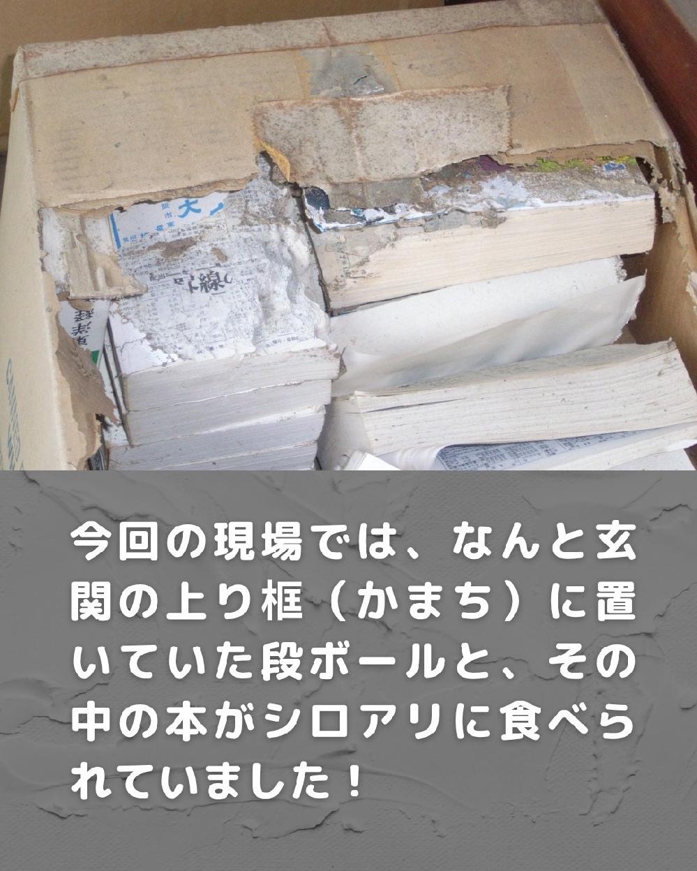 ւ̏yi܂jɒuĂi{[Ɩ{VAɐHׂĂ܂I