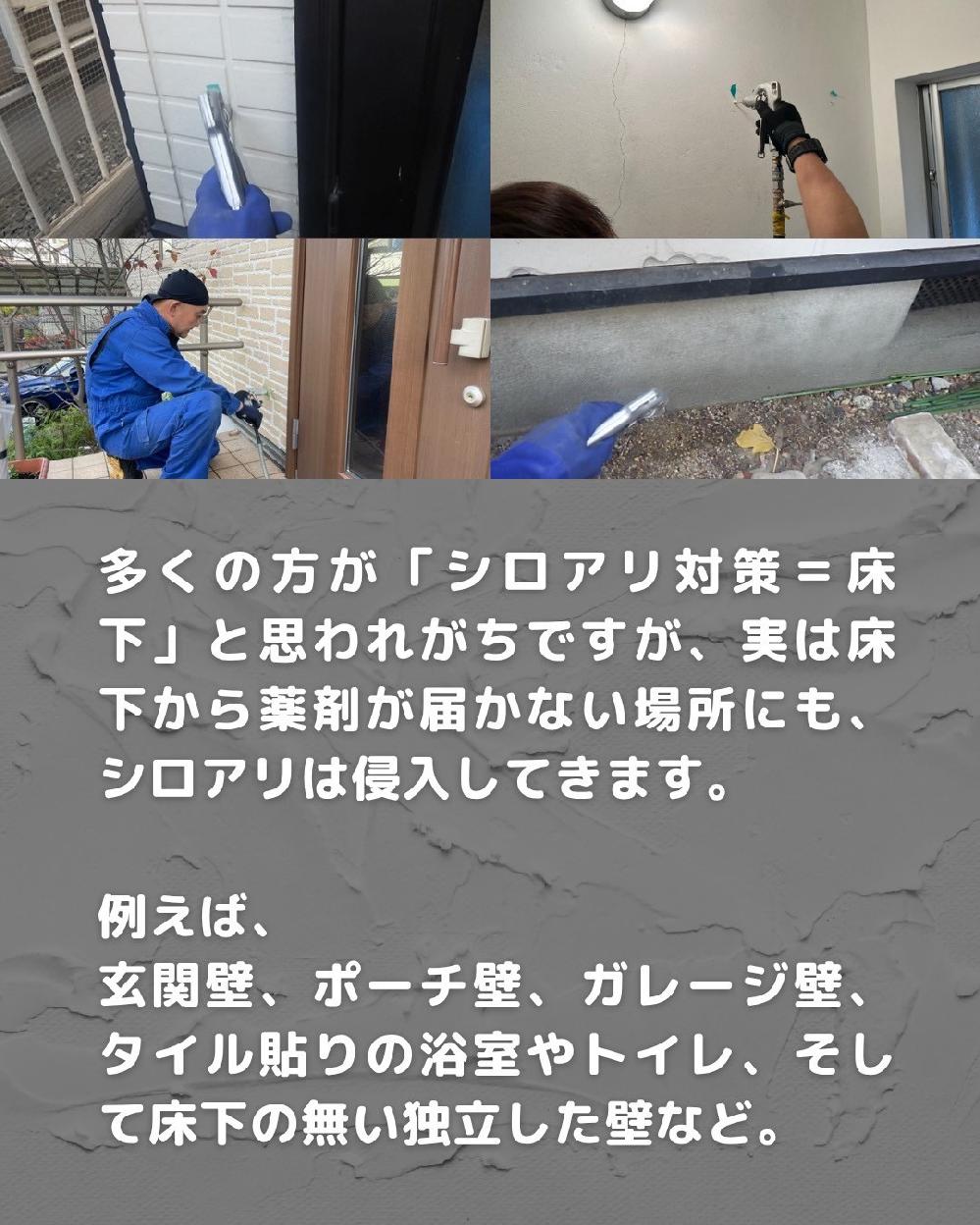 ��܂��͂��Ȃ��ꏊ�ɂ��A�V���A���͐N�����Ă��܂�