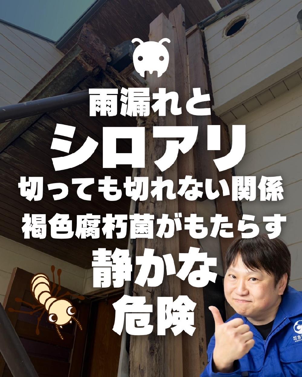 ���F�����ۂƃV���A���̊֌W