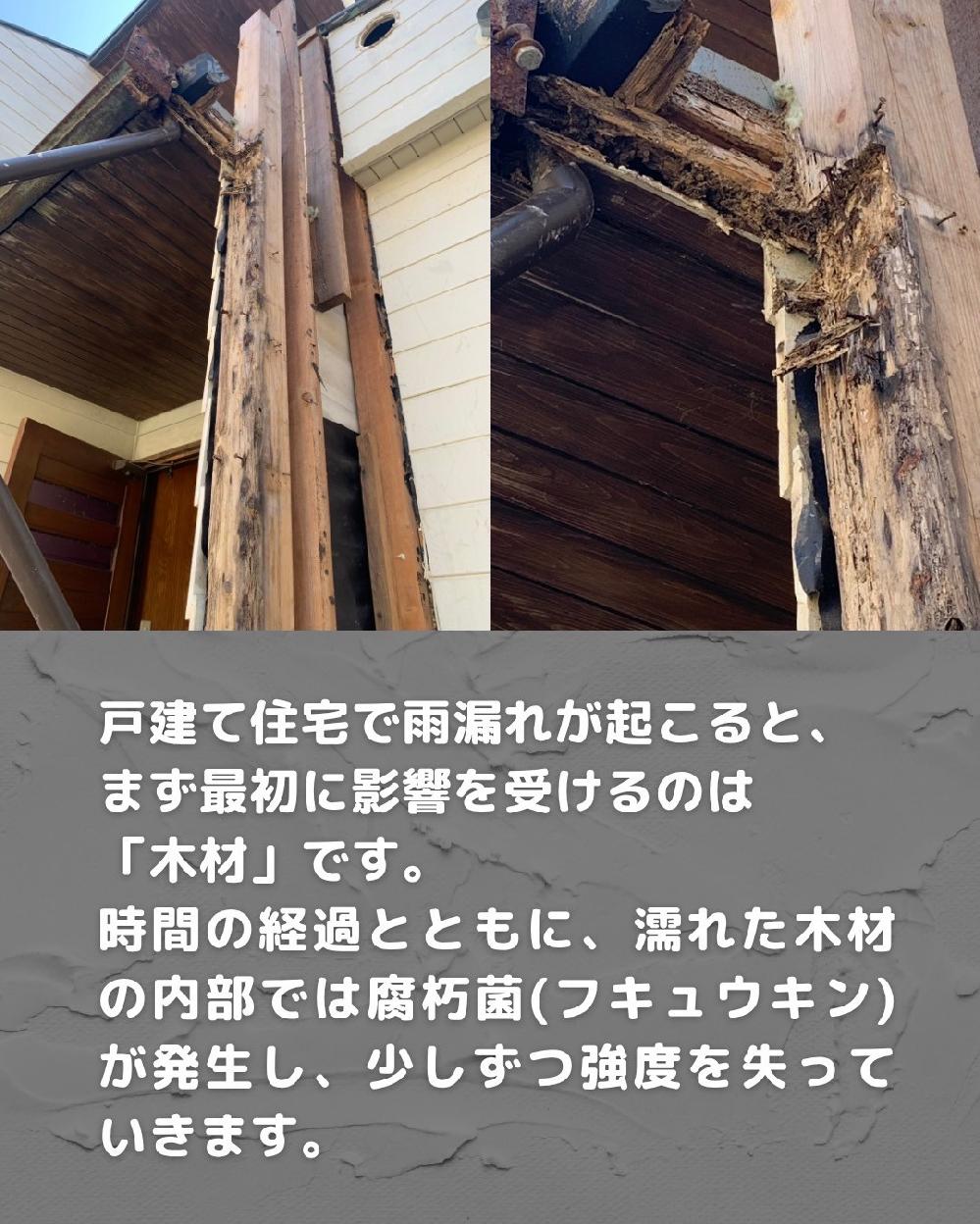 �J�R��̉e�����󂯂�̂́u�؍ށv�ł�