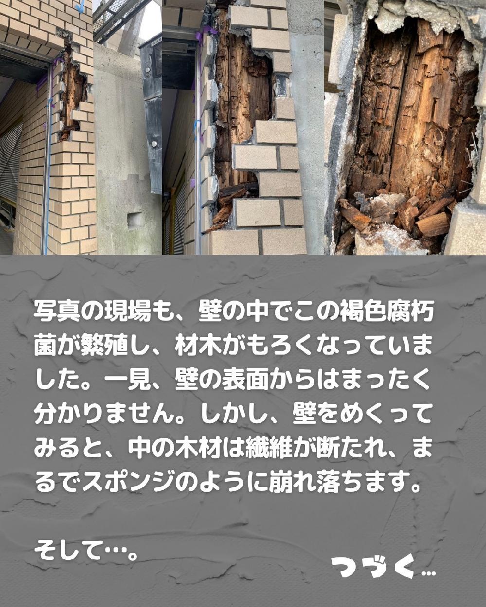 ���F�����ۂ̉e���ő@�ۂ��f����A�܂�ŃX�|���W�̂悤��