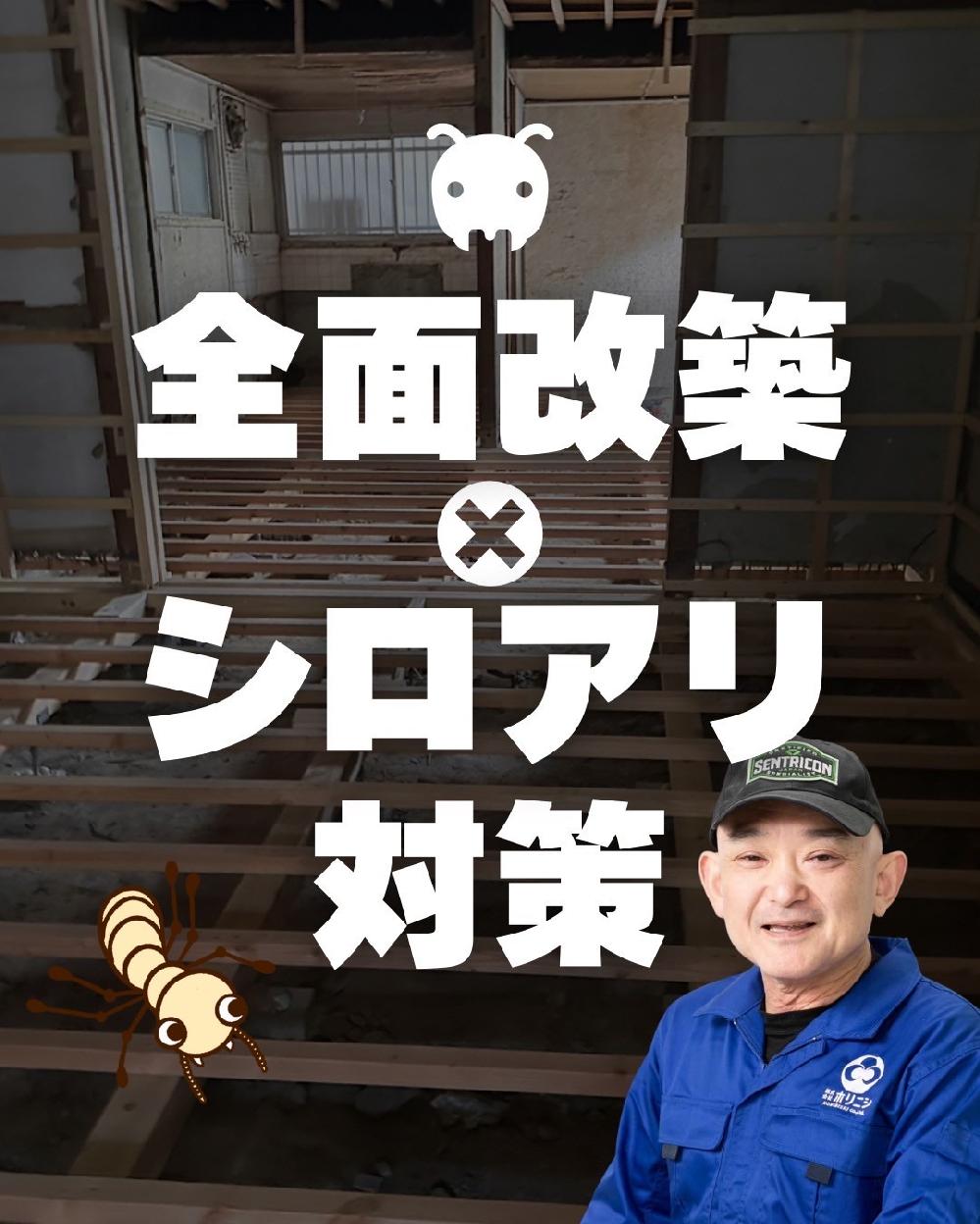 �S�ʉ��z�A�V���A���΍�