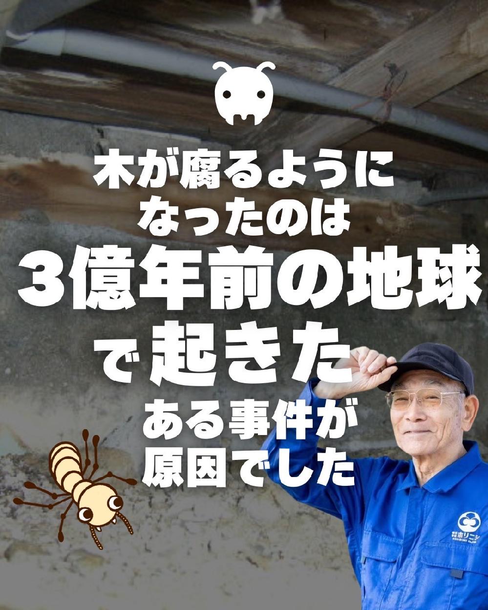 �V���A���Ɋւ���b