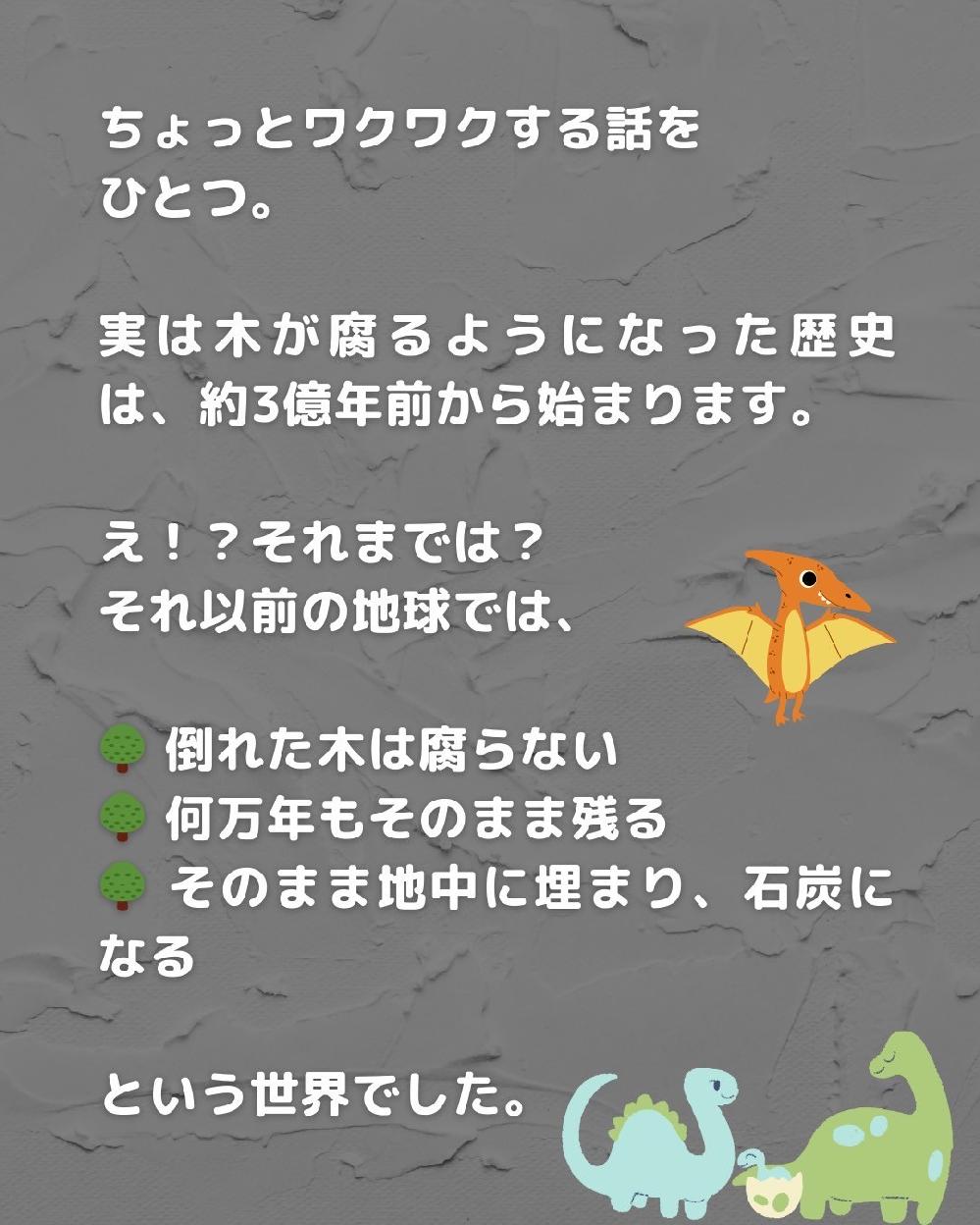 �Ȃ����͖؂�����̂��H