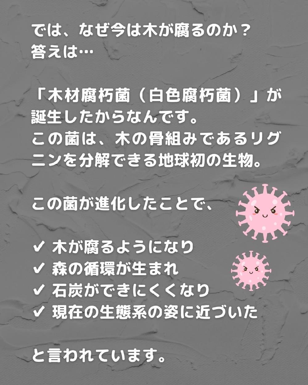 �؍ޕ����ہi���F�����ہj�ɂ���